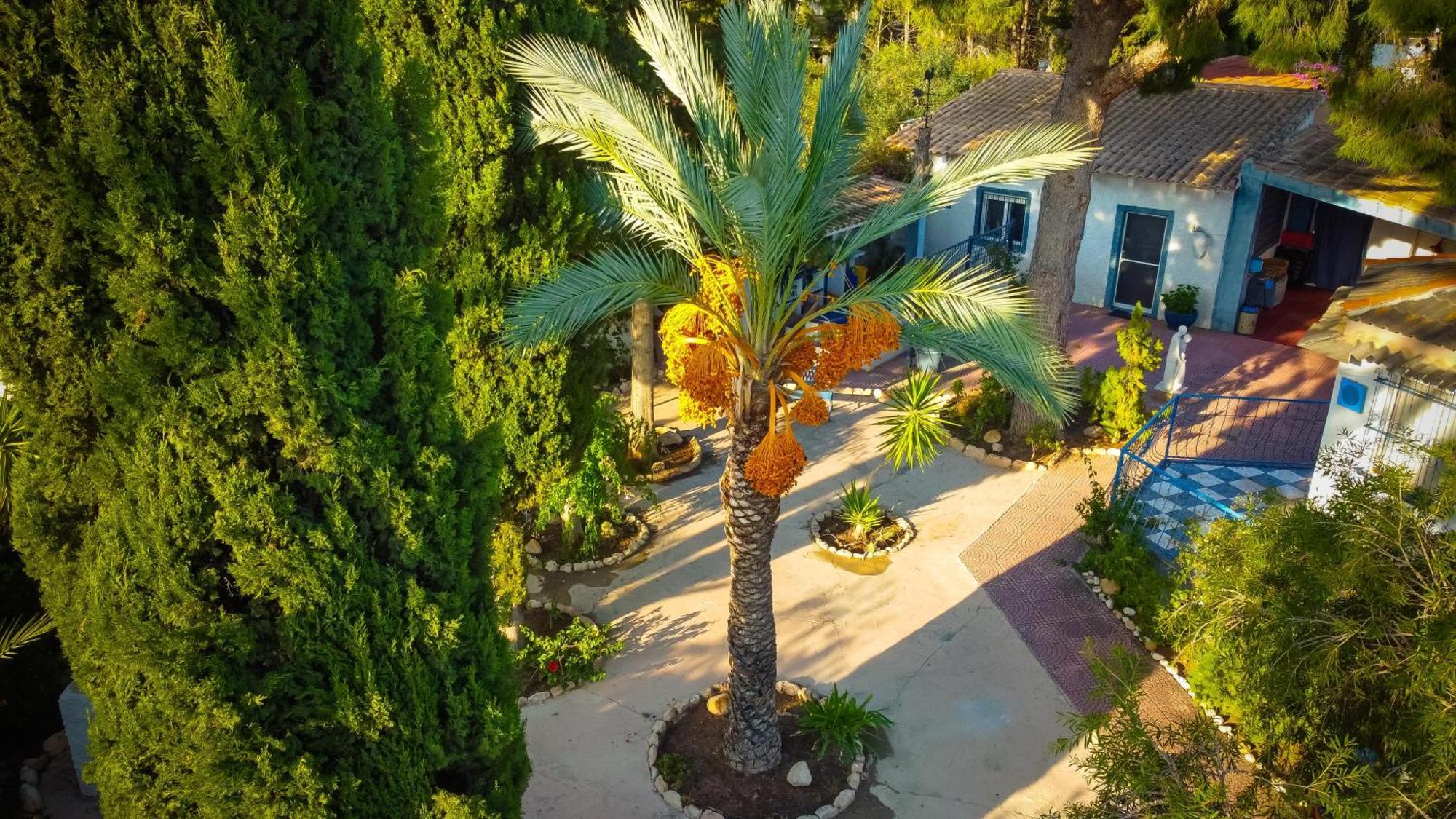 La Casita De Invitados Los Banos de Fortuna Exteriör bild